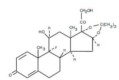 triamcinolone acetonide ointment 1